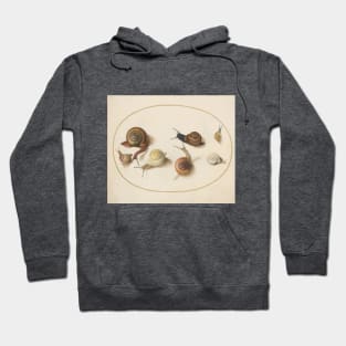 Naturalist Snails Hoodie